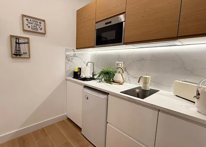 Viar Fika דירה בילבאו